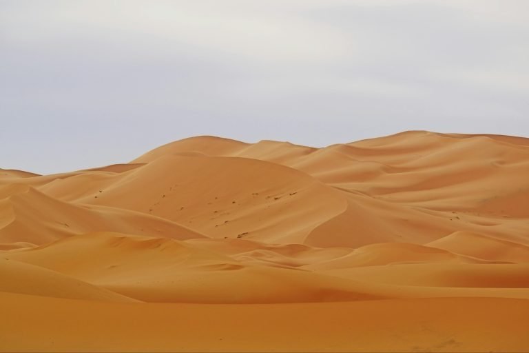 A Starlit Night in the Moroccan Desert