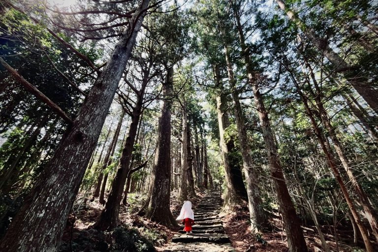 Forest Bathing in Japan’s Kumano Kodo