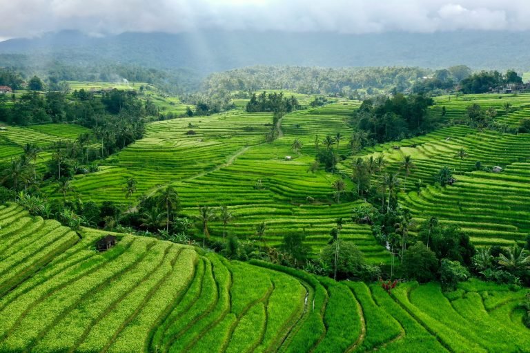 Mindful Travel in Bali