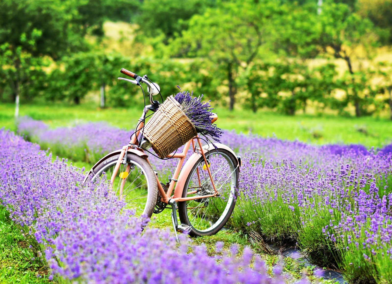 Discover the World Differently: 8 Offbeat Experiences for Women Travelers